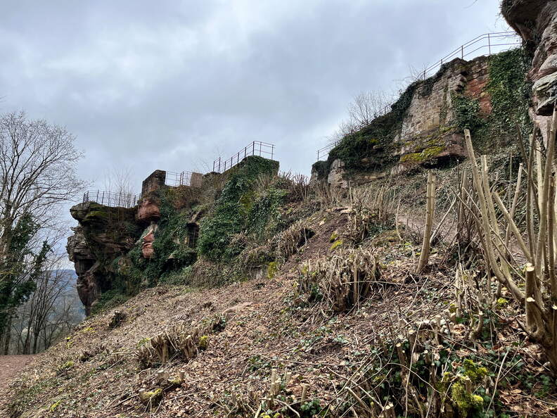 24-03-01 12-29-31 8869